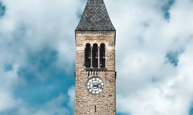 Essay: Written for Princeton University, 2013 (student attended Cornell University)