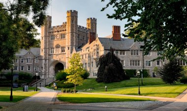 Essay: Accepted to Princeton University, 2020— "It is the effort that counts, not the result"