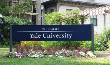 Essay: Accepted to Yale University, 2021