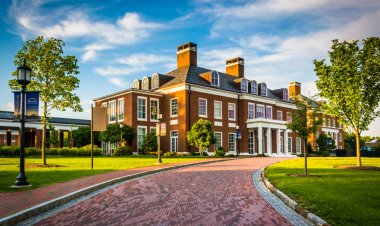 Sample Essay from John Hopkins University— "Dancing Together"