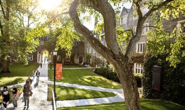 Essay: Accepted to Cornell University, 2021