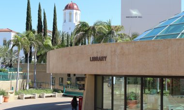 Essay: Sample for San Diego University