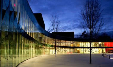 Essay by SAGE TZAMOURANIS admitted into Hamilton College