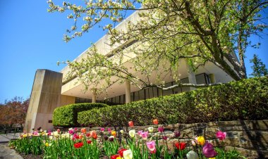 Essay by DYLAN MORSE admitted into Hamilton College