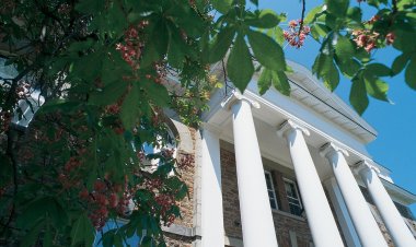 Essay by student MITCHELL GREENE admitted into Hamilton College