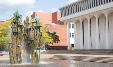 Essay by a student admitted into Princeton University 2021