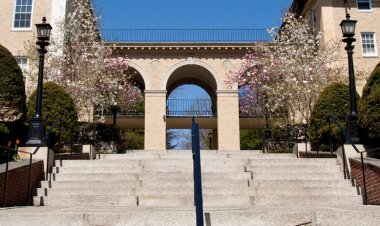 Essay: by Renner Kwittken, admitted to Tufts University, 2023