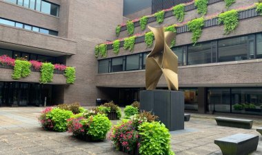 I’m still questioning, by Aja admitted to Princeton University 2020