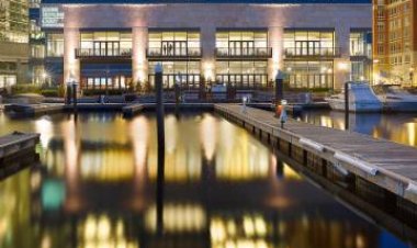 The Blue Armchair, by Anna admitted into John Hopkins University