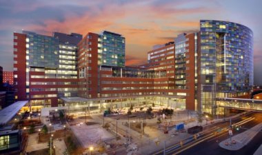 A Wider Lens, by Jillian admitted into John Hopkins University