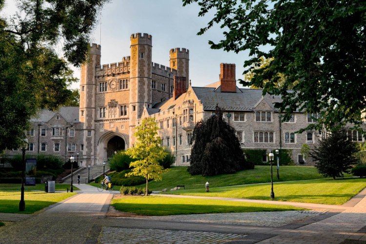 Essay: Accepted to Princeton University, 2020— "It is the effort that counts, not the result"