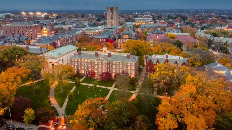 Essay: Accepted to Brown University, 2021
