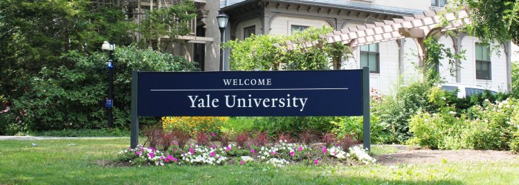 Essay: Accepted to Yale University, 2021