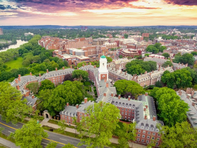 Essay: Accepted to Harvard University, 2021