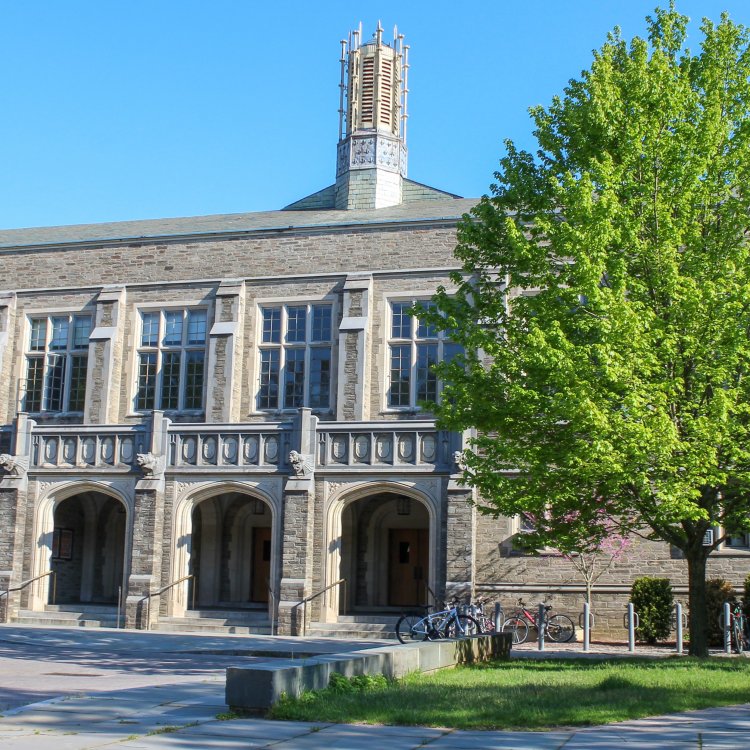 Essay by a student admitted into Princeton University in 2019