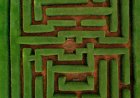 Mazes, an essay example