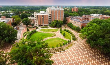 NC State University Pre-College Programs: How to Approach the College Application Essay