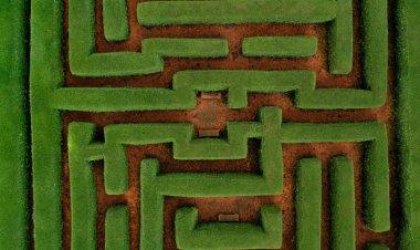 Mazes, an essay example