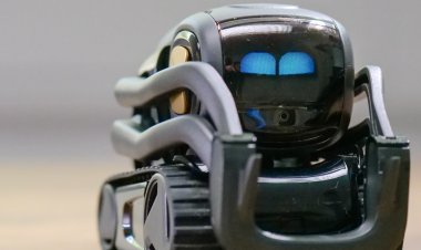 TRANSFORMERS ARE NOT JUST FOR BOYS, an essay example