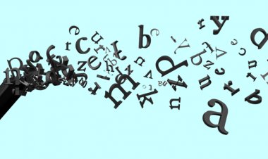 "Essay Writing Tips and Prompts": Dickinson College