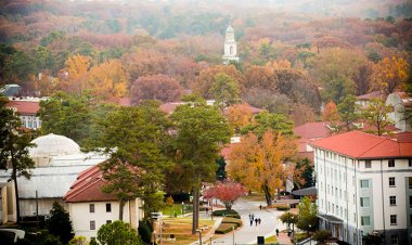 An essay admitted into Emory University 2017