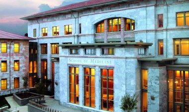 An essay example (student admitted into Emory University in 2017)