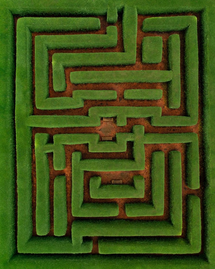 Mazes, an essay example