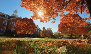 Just Keep Folding, an essay by a student admitted in JHU 2020