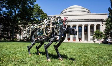 I love meeting random people, by Kevin Palisoc 2018 in MIT