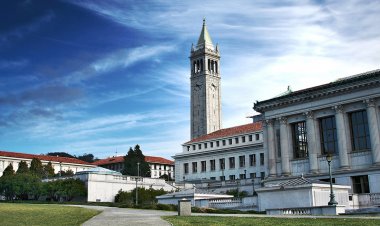Essay example for UC Berkeley 2022-2023