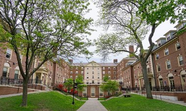 Essay example for Brown University 2022-2023