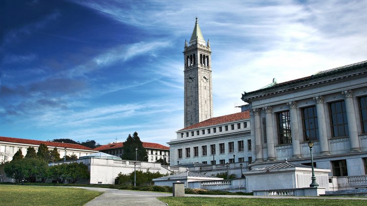 Essay example for UC Berkeley 2022-2023