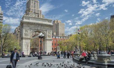 NYU essay example Suburban vs Urban schools