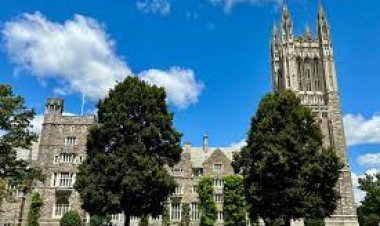 Princeton supplemental essay example