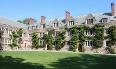 Princeton supplemental essay example