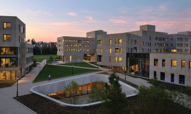 Princeton supplemental essay example