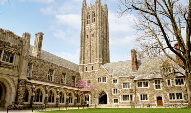 Princeton supplemental essay example